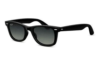Wayfarer Sunglasses